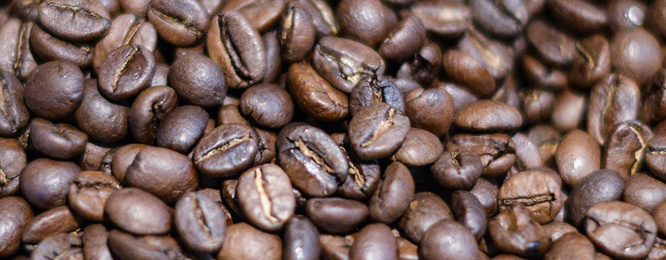 Kaffee­maschinen bei Elektro-Ziegler GmbH & Co. KG in Würzburg